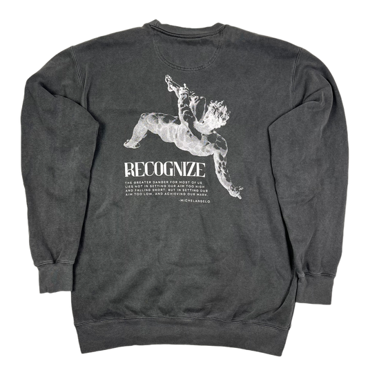 Recognize Sweatshirt